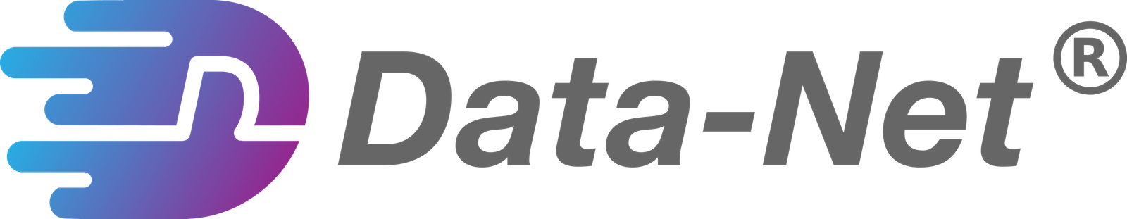 Data-Net Logo